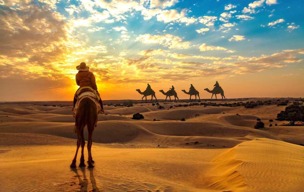 Camel safari at sunset near Samtara Desert Camps