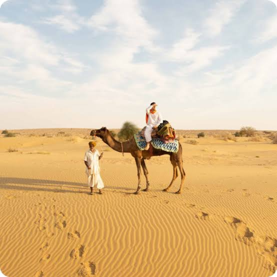 Camel Safari in Jaisalmer